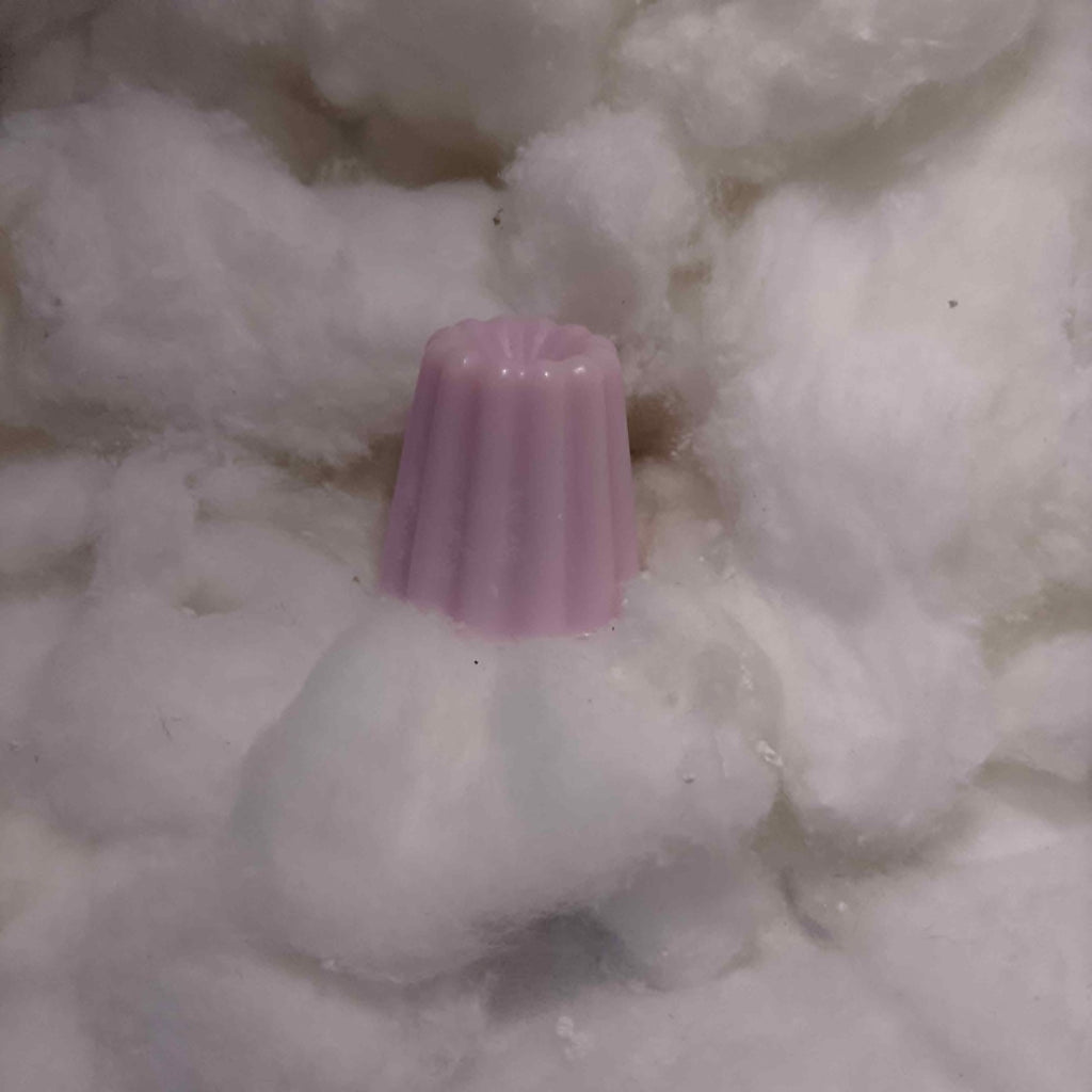 Fondants Parfumés Fruités | Cire Végétale Artisanale 18g