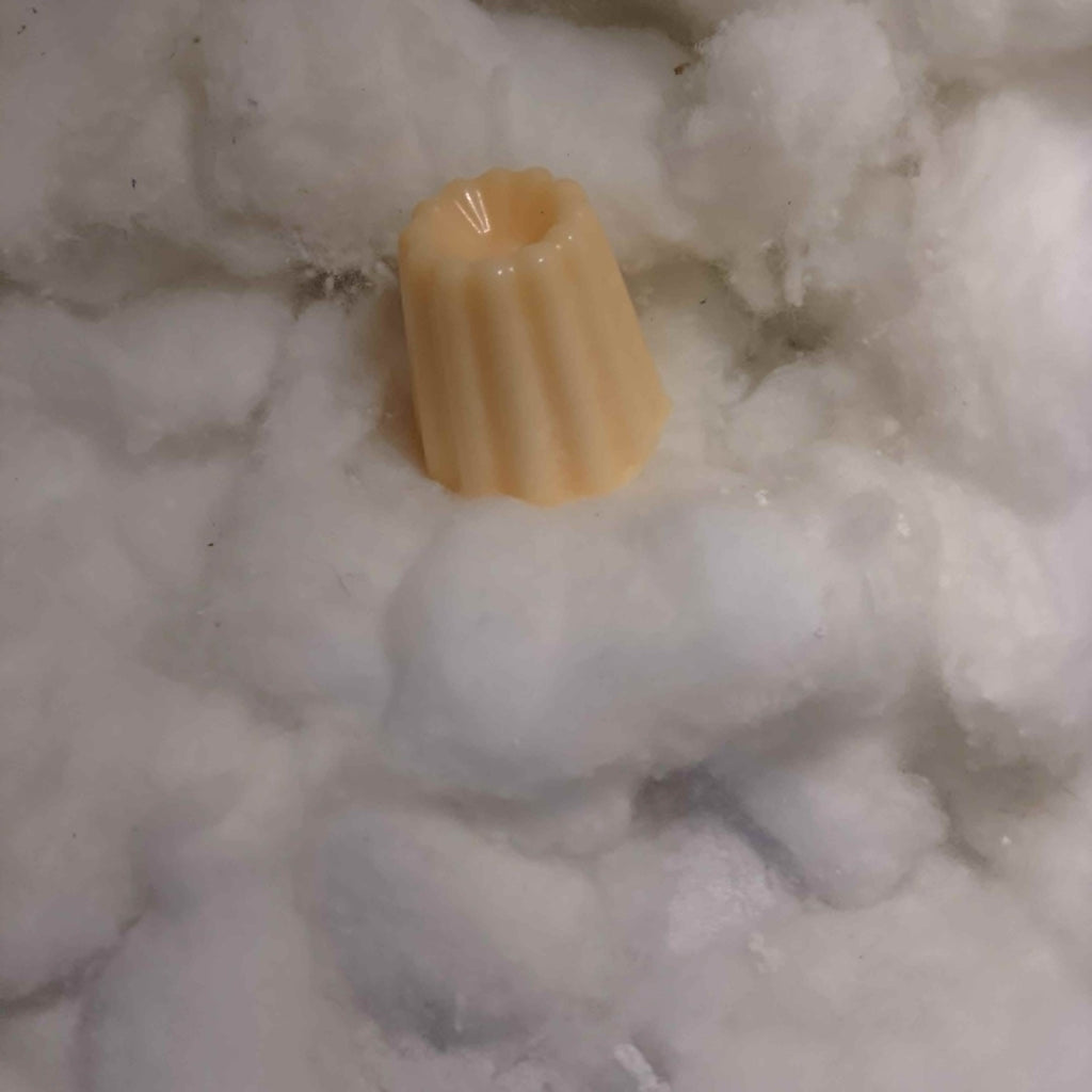 Fondants Parfumés Fruités | Cire Végétale Artisanale 18g